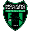 Monaro Panthers logo