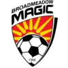 Broadmeadow logo