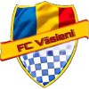 Vasieni logo