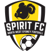 Nws Spirit logo