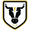 Bulls Academy logo