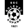 Bolevec logo