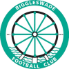 Biggleswade Fc logo