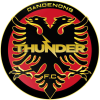 Dandenong Thunder logo