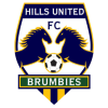 Hills Brumbies logo