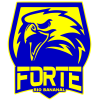 Forte U20 logo