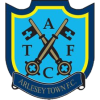 Arlesey logo
