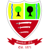 Southall Fc logo