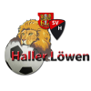 Hall logo