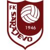 Fk Sarajevo U19 logo