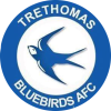 Trethomas Bluebirds logo