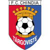 Chindia Targoviste W logo