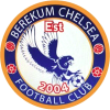 Berekum Chelsea U19 logo