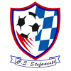 Stefanesti logo