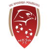 Polskava logo