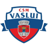 Csm Vaslui logo