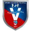 Ramnicu Valcea logo