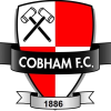 Cobham logo