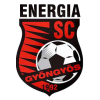 Gyongyos logo