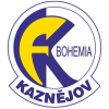 Kaznejov logo