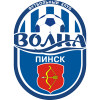 Volna Pinsk logo