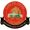 Felinheli logo