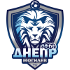 Dnepr Mogilev W logo