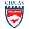 Tarlungeni logo