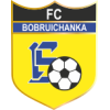 Bobruichanka W logo