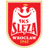 Sleza Wroclaw W logo