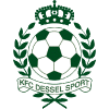 Dessel logo