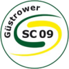 Gustrower logo