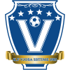 Vjosa logo