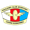 Czarni Sosnowiec Ii W logo