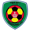 Tensung logo