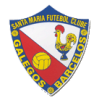 Santa Maria Fc logo