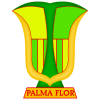 Palmaflor logo