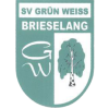 Brieselang W logo