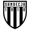 Sandecja U19 logo