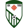 Padinska Skela logo