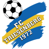 Triesenberg B logo