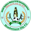 Shashemene Kenema logo