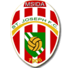 Msida logo