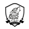 Dimba Patriots logo