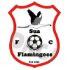 Sua Flamingoes logo