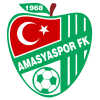 Amasyaspor logo