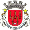 Sao Salvador logo