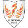 Phoenix Banje logo