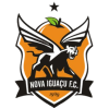 Nova Iguacu logo