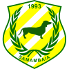 Samambaia logo